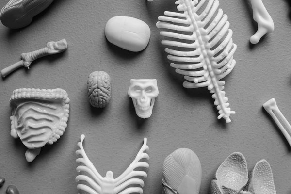 La Clave de un Bienestar Sostenible